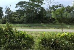 Waterfront @ Faber (D5), Apartment #350082121